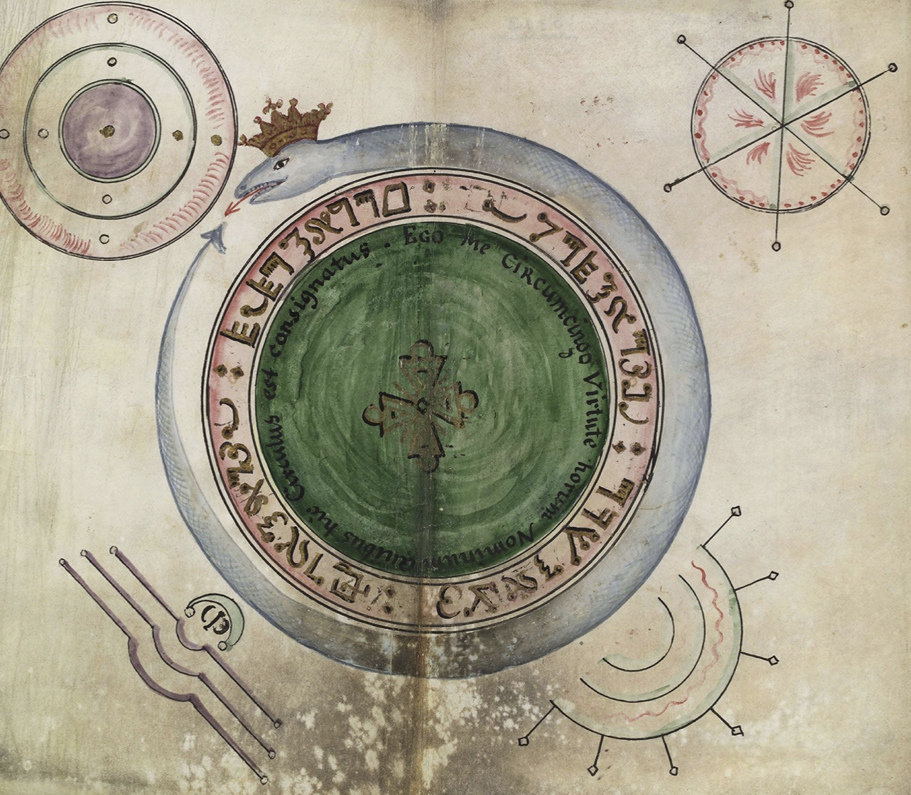 Why Herping Counts: Reptiles, Reverence, and the Reawakening of Our Deep Selves